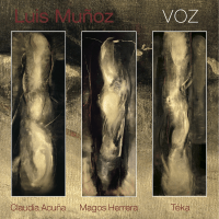 VOZ-_CD_COVER__copy_2